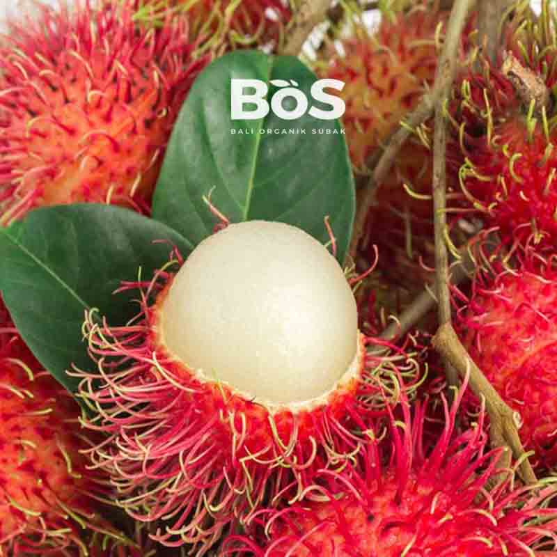 Rambutan