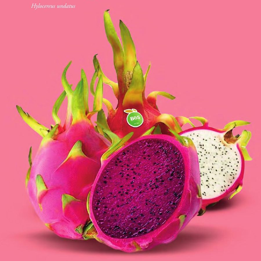 Buah Naga
