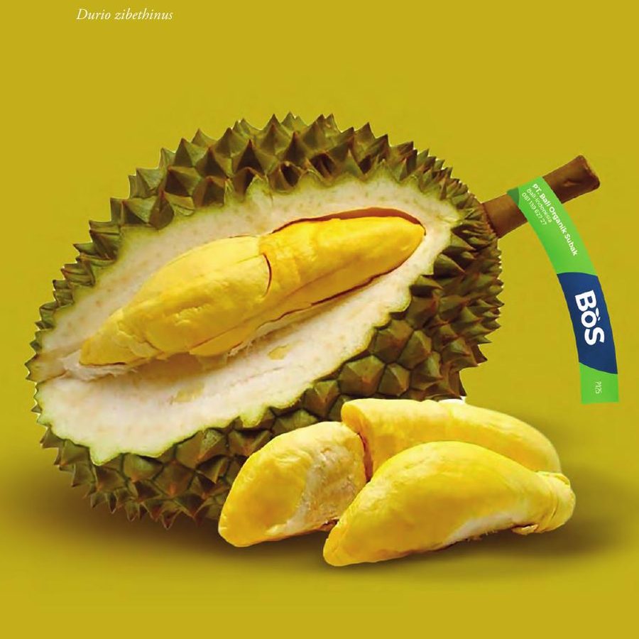Durian