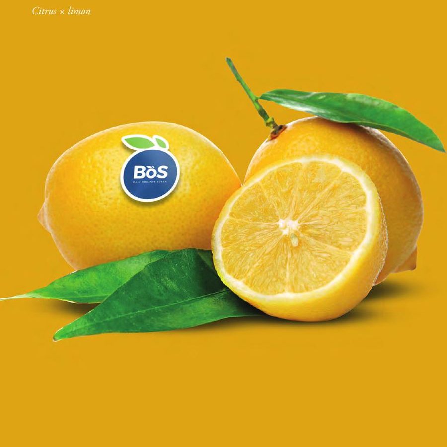 Lemon