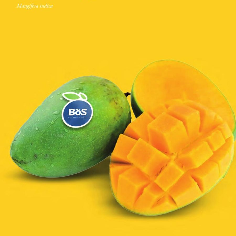 Mangga