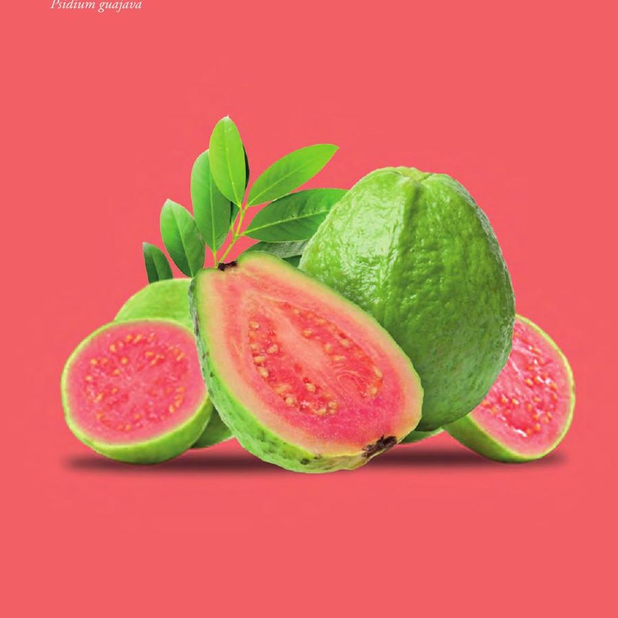 Jambu Biji Merah