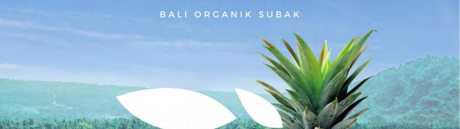Subak rice terraces in Bali